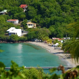 https://les-balisiers.comcaribbean.com